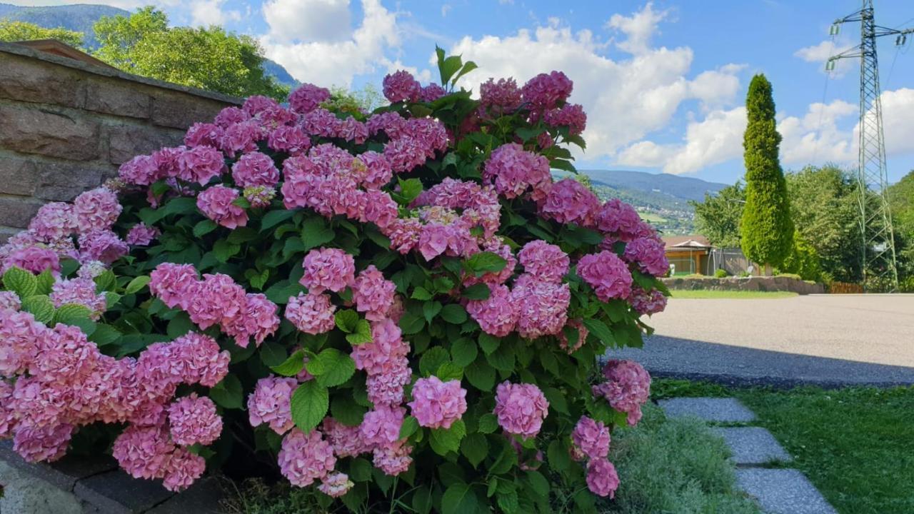 Ferienwohnungen Koflerhof Castelrotto Bagian luar foto